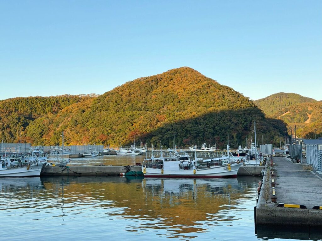 対馬「SAKAPORT」近くの海岸