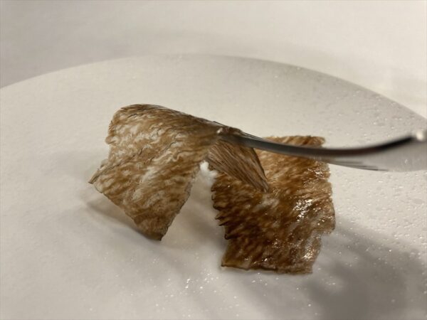 IMG_02 (1)
