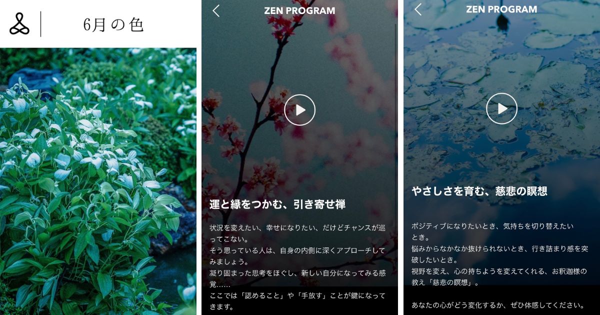 interview_morita_zen-program