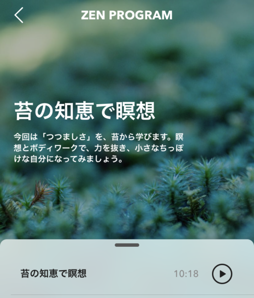 zen_koke