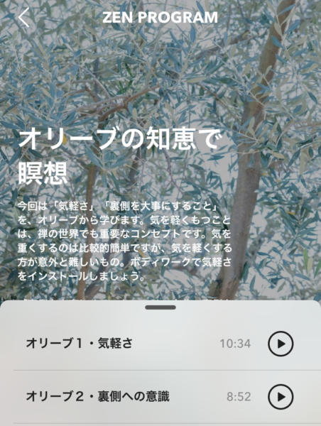 zen_olive